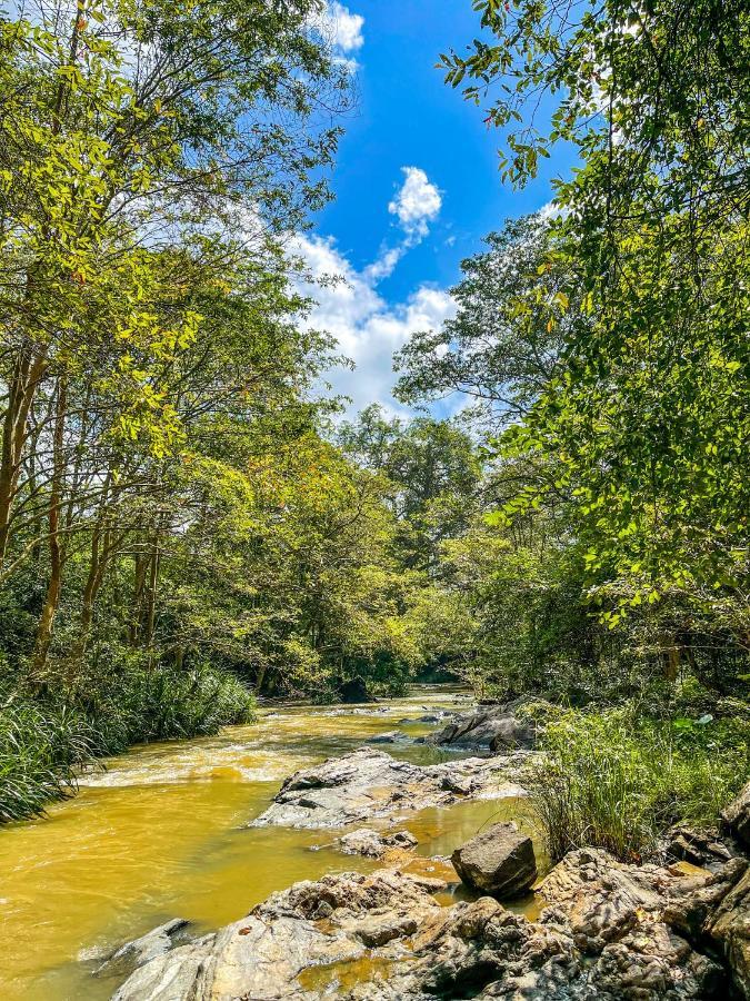 Walawa Dreams Safari Resort Udawalawe Bagian luar foto